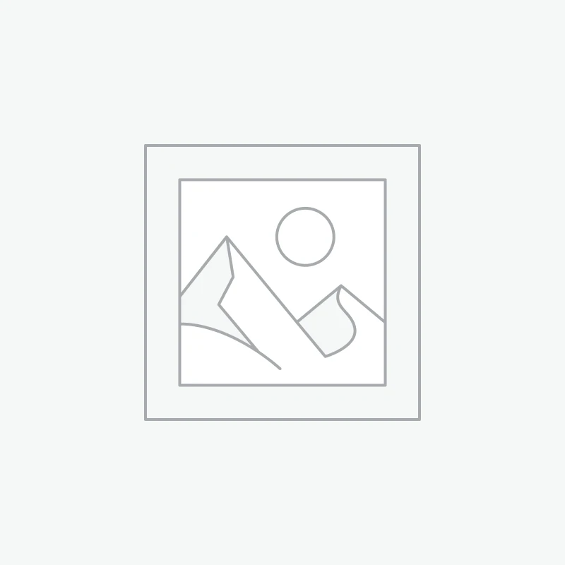 LTD Iron Cross - James Hetfield