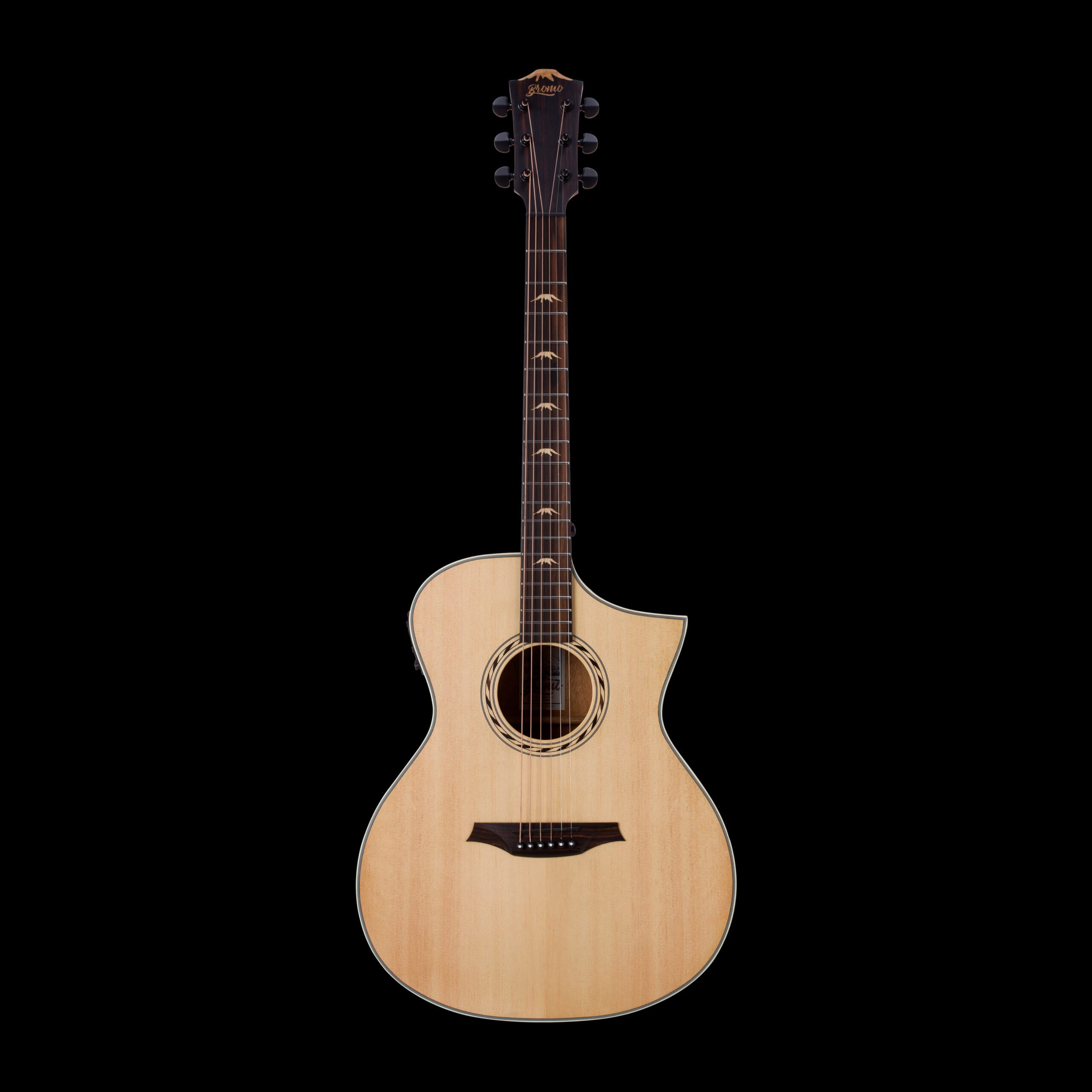 Guitare Bromo BAA4CE