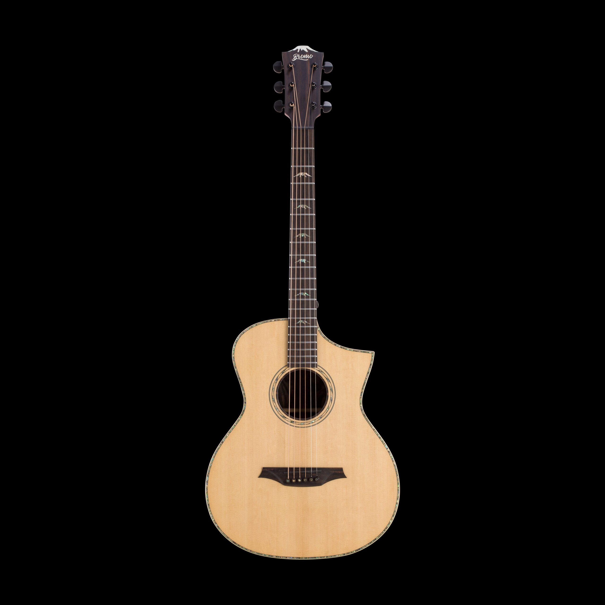 Guitare Bromo BAR5CE
