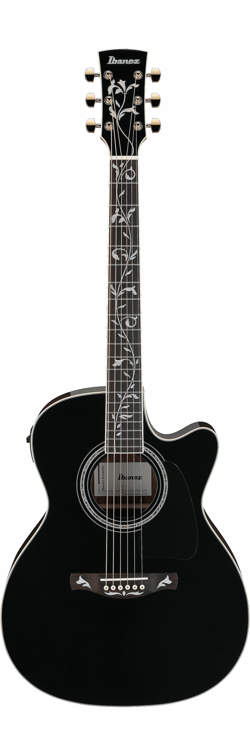 Ibanez AC391 RCEBKH